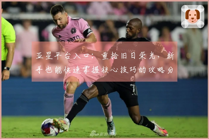 亚星平台入口：重拾旧日荣光，新手也能快速掌握核心技巧的攻略分享