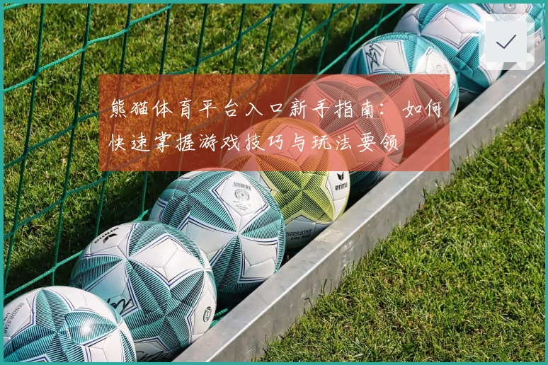 熊猫体育平台入口新手指南：如何快速掌握游戏技巧与玩法要领