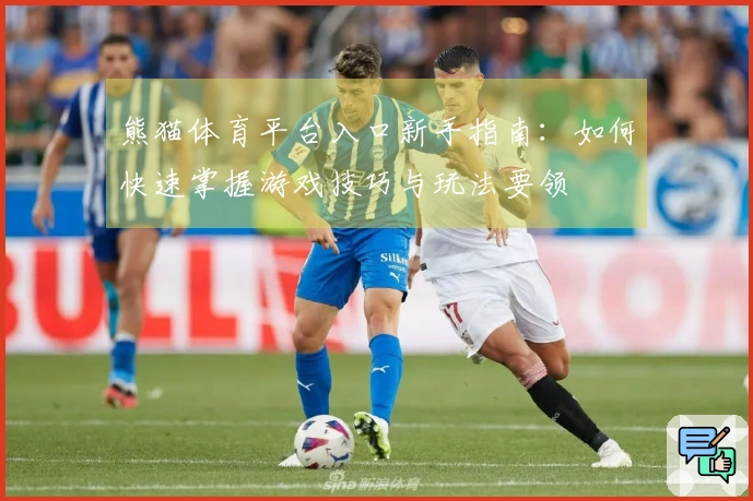熊猫体育平台入口新手指南：如何快速掌握游戏技巧与玩法要领